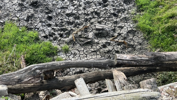 Dry river in Bursuceni, Moldova, September 2025. Credits: Andrei Isac.